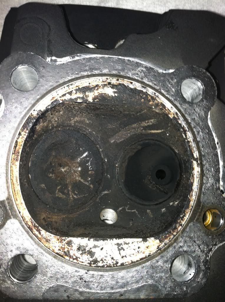 Phantom noise in valvetrain. Harley Davidson Forums